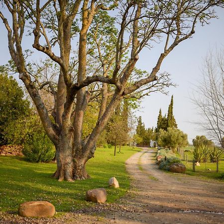 San Gabriel Homestead Somerset West Esterno foto