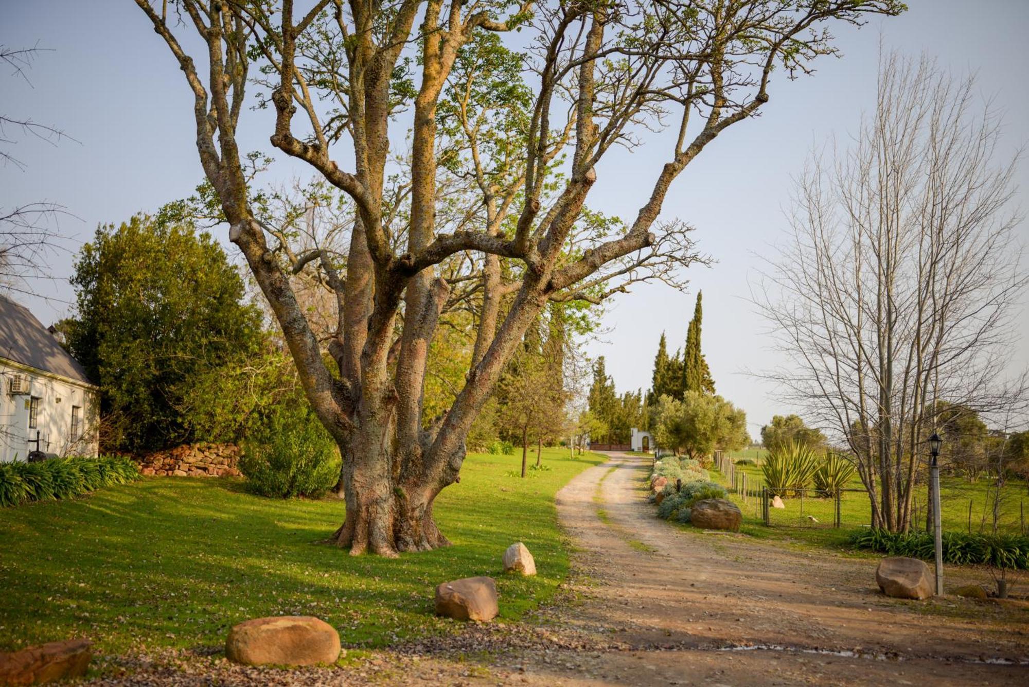 San Gabriel Homestead Somerset West Esterno foto